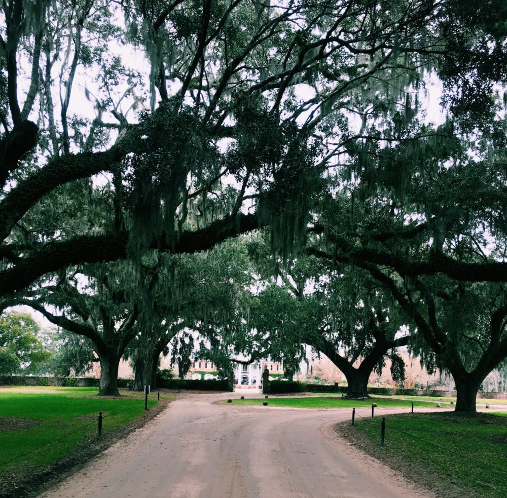 A love affair with Charleston