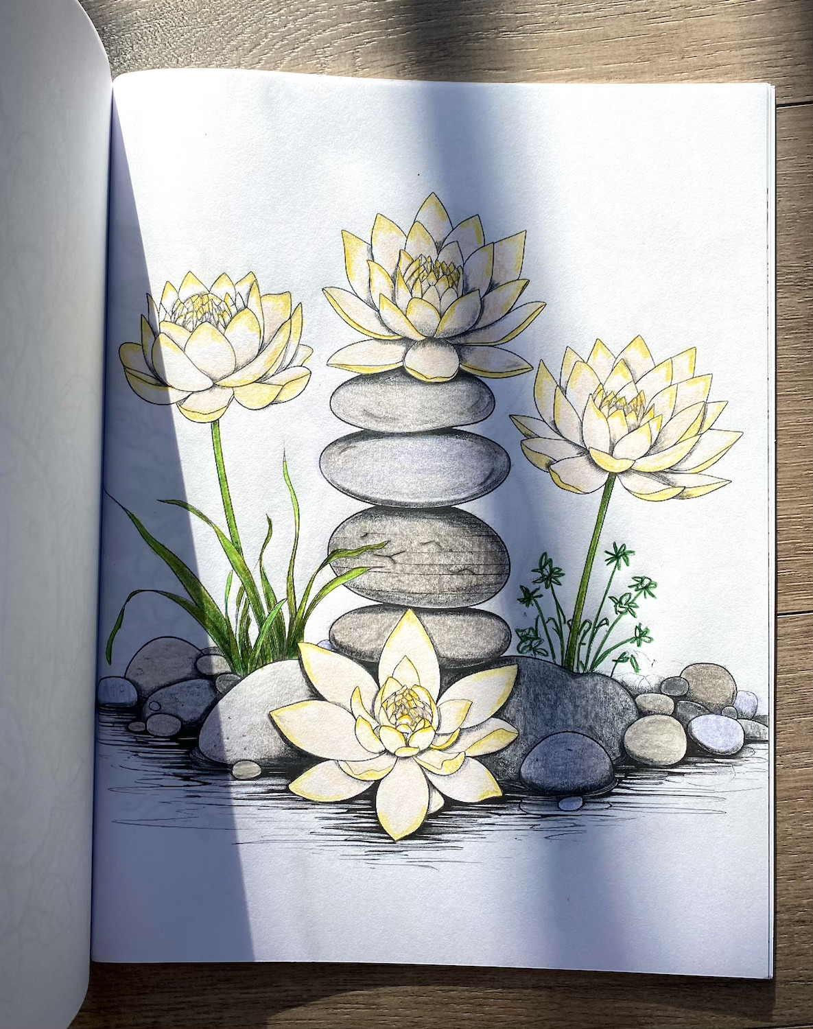 coloring book page of flowers and balanced rocks