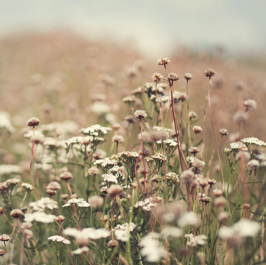 The Return to Grace – Embodying Feminine Presence